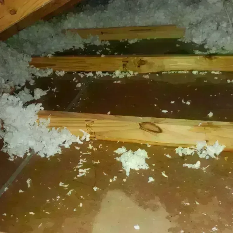 Attic Water Damage in Monticello, FL